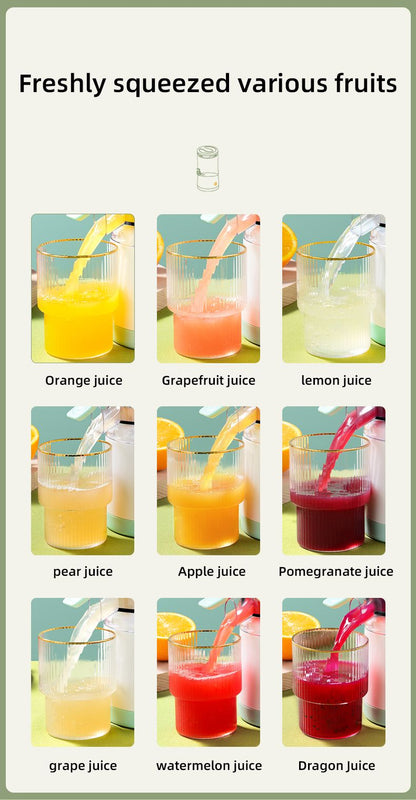 Citrus Juicer